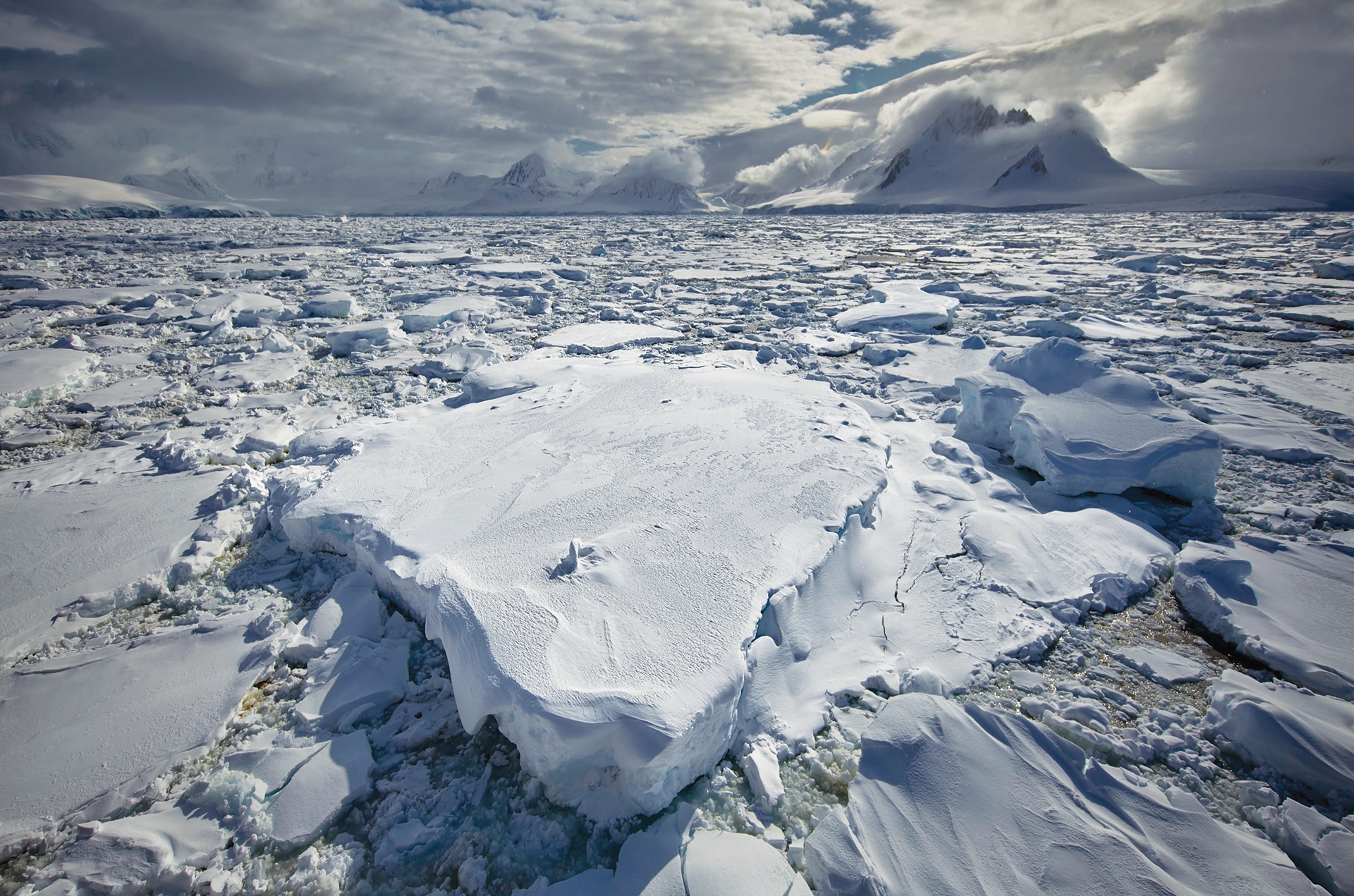 spirit-of-antarctica-ice